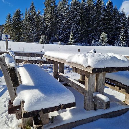 Wohlfuehl-Appartement Bergsee Family - Am Wildsee - Sup Und Schlitten For Free Зеефельд в Тироле Экстерьер фото