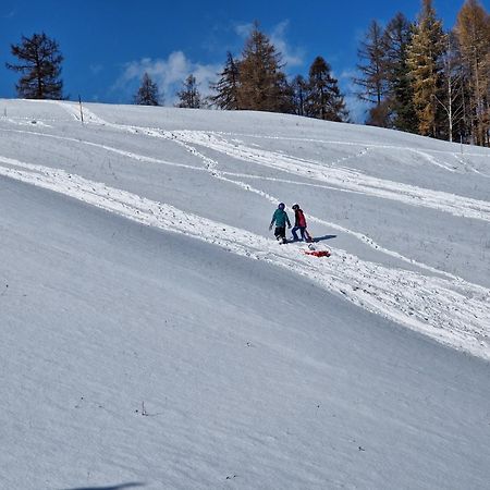 Wohlfuehl-Appartement Bergsee Family - Am Wildsee - Sup Und Schlitten For Free Зеефельд в Тироле Экстерьер фото